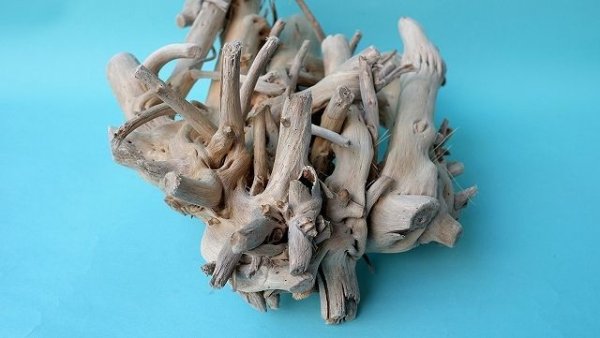 画像7: 流木根 (7)