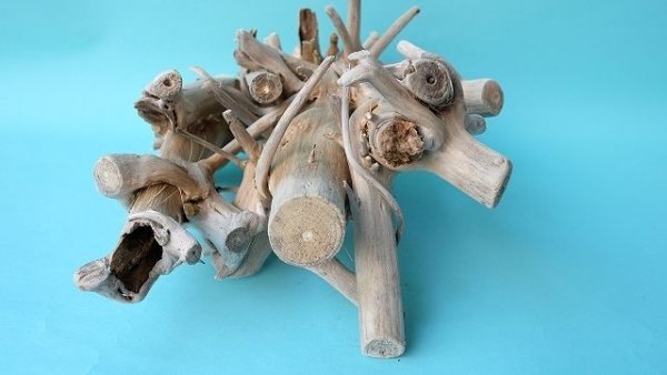 画像6: 流木根 (6)