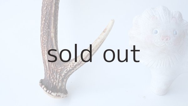 画像2: デコール用二ホンジカの角 (2)