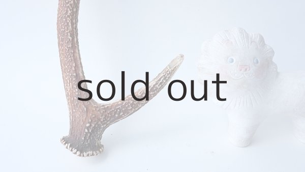 画像2: デコール用二ホンジカの角 (2)