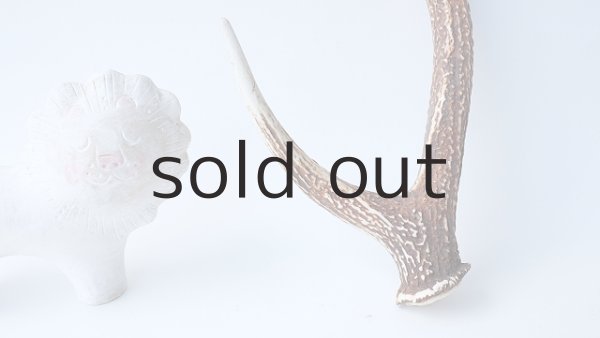 画像2: デコール用二ホンジカの角 (2)