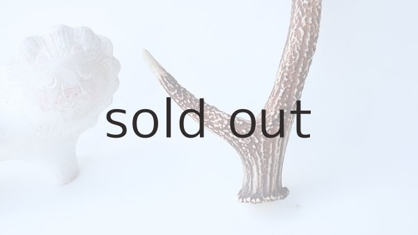 画像2: デコール用二ホンジカの角 (2)