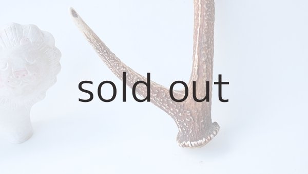 画像2: デコール用二ホンジカの角 (2)