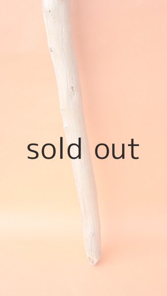 画像2: 棒流木 (2)