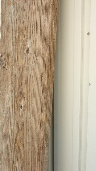 画像5: 大型 板 (5)