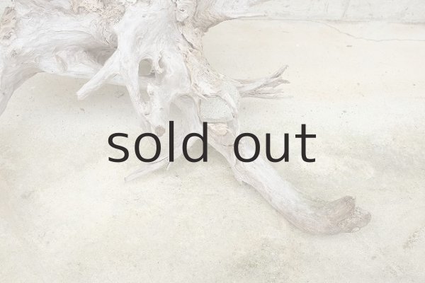 この部分に石を抱いています。