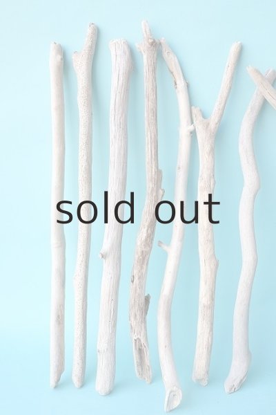 画像2: 小枝流木セット (2)