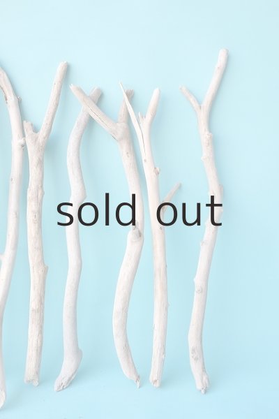 画像3: 小枝流木セット (3)