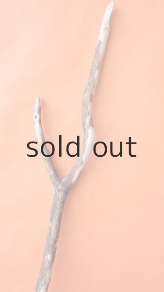 画像6: 幹流木 (6)