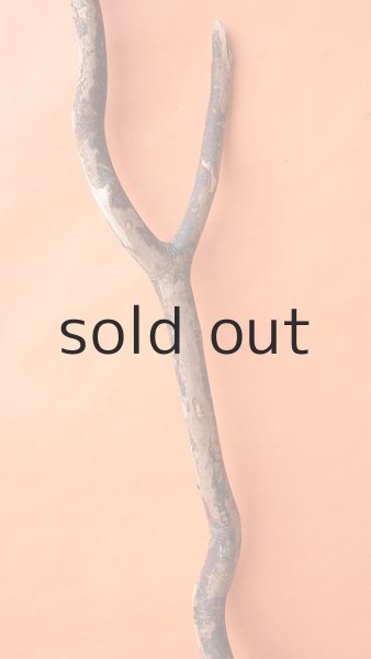 画像4: 幹流木 (4)