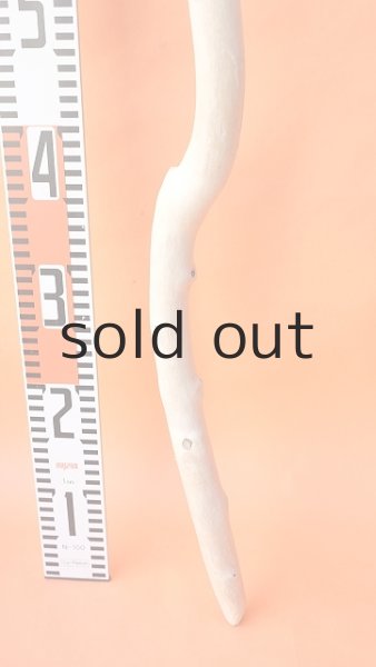 画像5: 幹流木・長尺 (5)