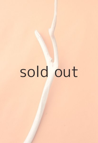 画像5: 幹流木・長尺 (5)