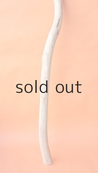 画像2: 幹流木・長尺 (2)