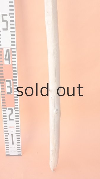 画像4: 幹流木 (4)