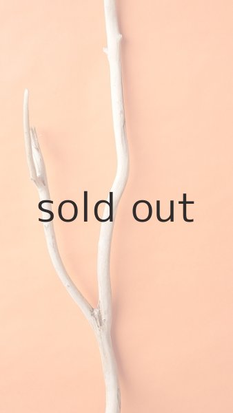 画像3: 幹流木・長尺 (3)