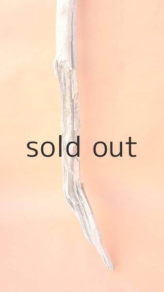 画像2: 幹流木・長尺 (2)