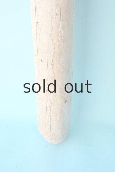 画像2: 幹流木 (2)