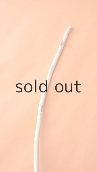 画像4: 幹流木・長尺 (4)