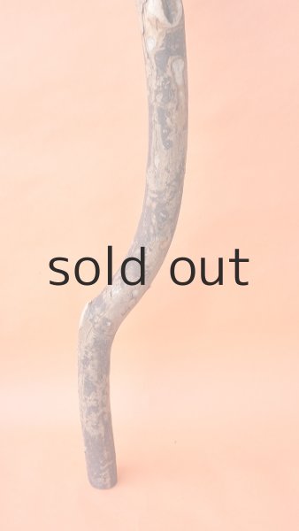 画像2: 幹流木 (2)