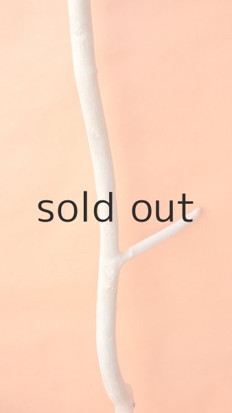 画像3: 幹流木・長尺 (3)