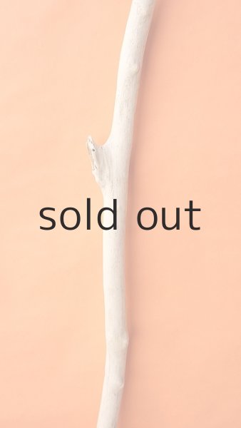 画像3: 幹流木・長尺 (3)