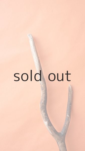 画像5: 幹流木 (5)