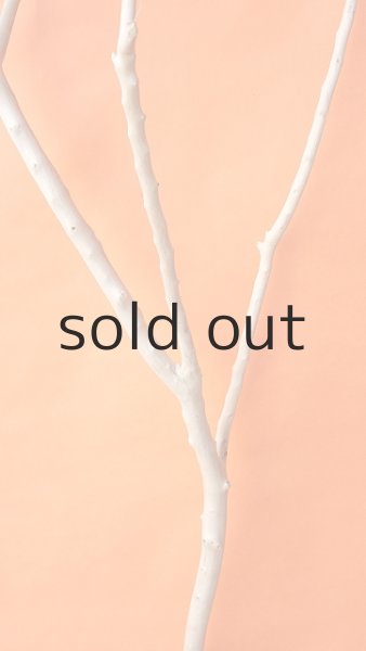 画像4: 幹流木 (4)