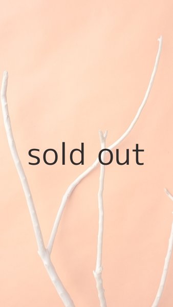 画像5: 幹流木 (5)