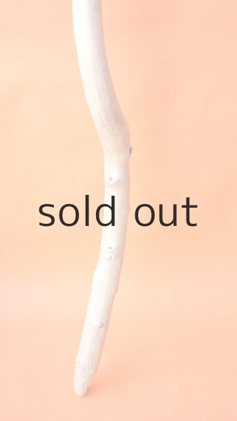 画像2: 幹流木・長尺 (2)