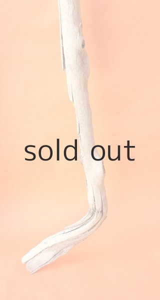 画像6: 幹流木・長尺 (6)