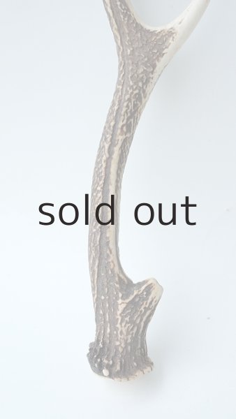 画像2: デコール用二ホンジカの角 (2)