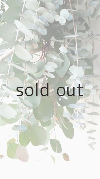 画像3: Dry plants for decor ユーカリ2種・ロングシンプルブーケ (3)