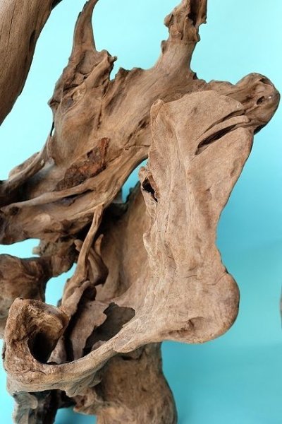 画像4: 変形流木（中型） (4)