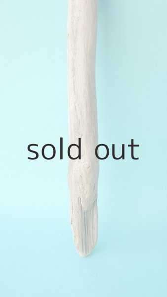 画像2: 枝流木 (2)