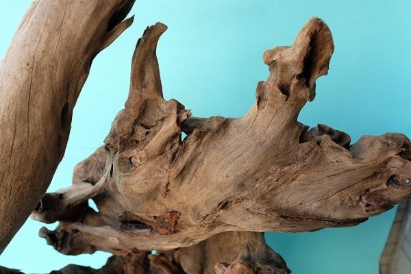 画像6: 変形流木（中型） (6)