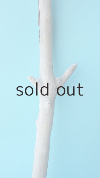 画像3: 枝流木 (3)