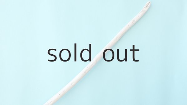 画像5: 枝流木 (5)