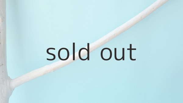 画像4: 枝流木 (4)