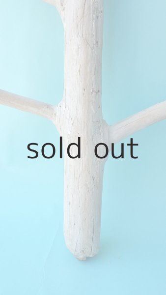 画像2: 枝流木 (2)