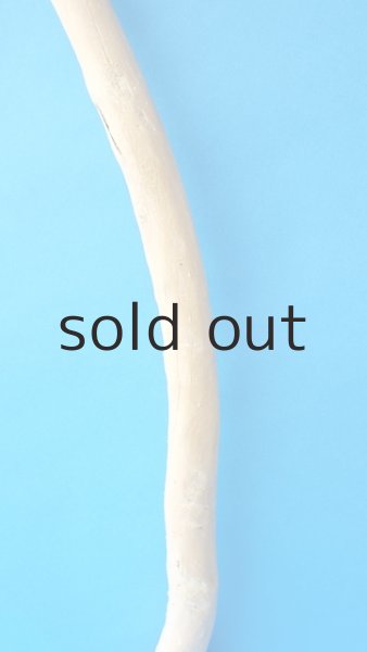 画像3: 枝流木 (3)