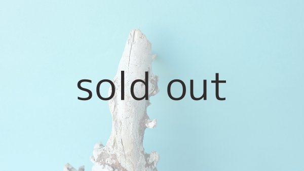 画像3: ミニ流木根 (3)