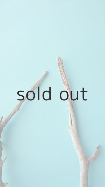 画像6: 小枝流木セット (6)