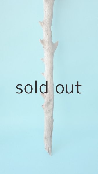 画像4: 小枝流木セット (4)