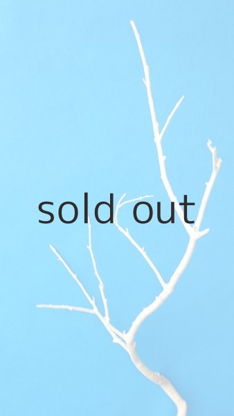 画像3: 枝流木 (3)