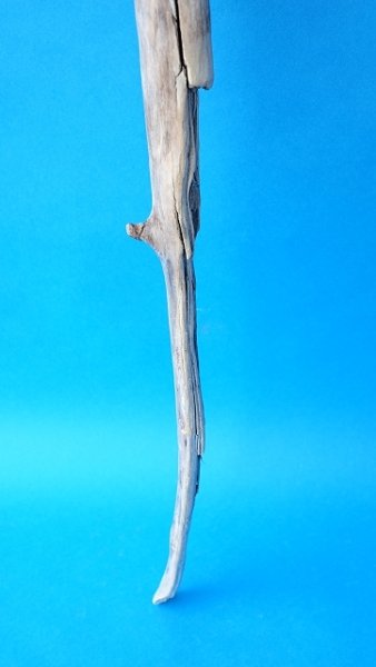 画像2: 枝流木 (2)