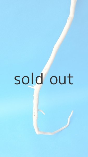 画像4: 枝流木 (4)