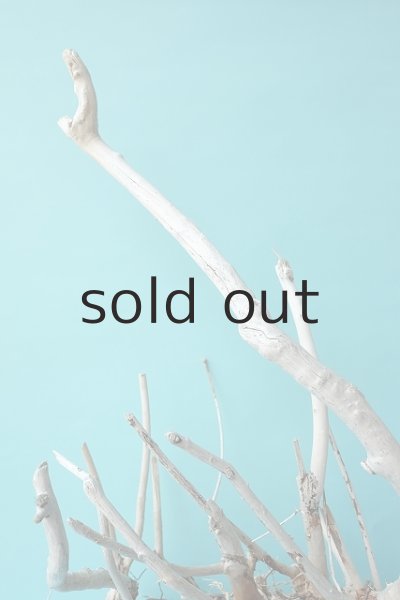 画像5: 大型 根 (5)