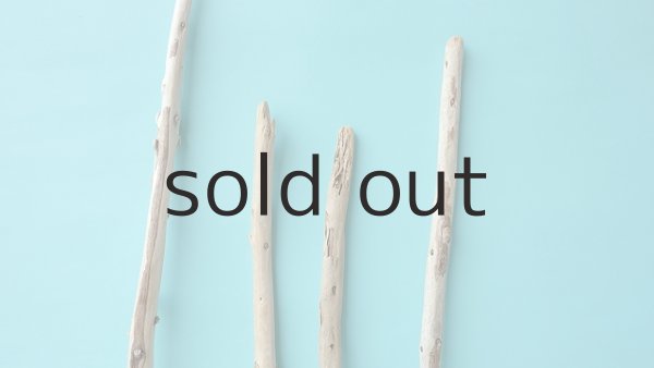 画像4: 棒流木セット (4)