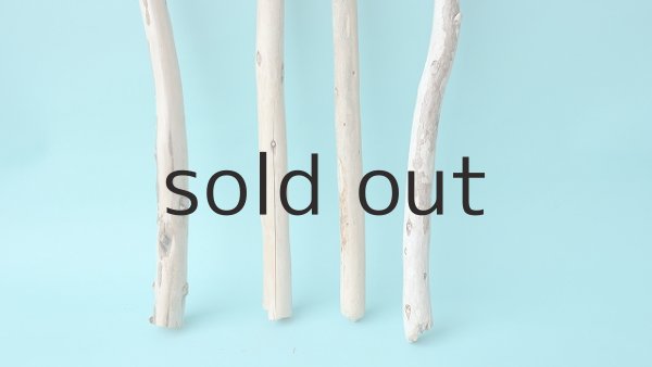 画像2: 棒流木セット (2)