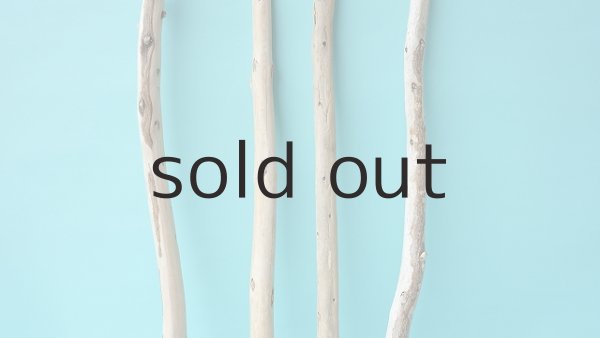 画像3: 棒流木セット (3)